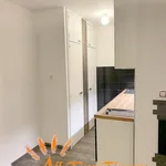 Pronajměte si 2 ložnic/e byt o rozloze 43 m² v Prague