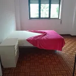 Alugar 6 quarto apartamento em Coimbra