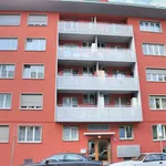 Rent 1 bedroom apartment of 377 m² in Zurich