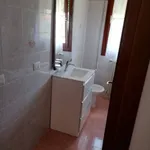 Rent 3 bedroom apartment of 85 m² in Musile di Piave