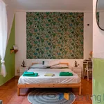 Rent 1 bedroom apartment of 35 m² in Roma