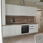 Rent 3 bedroom apartment of 60 m² in Florence