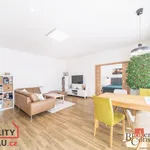 Rent 2 bedroom apartment of 67 m² in Pilsen