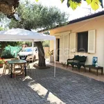 Rent 3 bedroom house of 70 m² in Seravezza