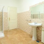 Rent 1 bedroom student apartment of 13 m² in Madrid