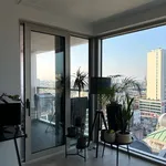 Rent 1 bedroom apartment in Antwerpen