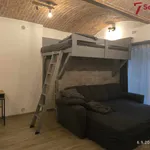 Rent 1 bedroom apartment in Žďár nad Sázavou