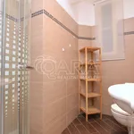 Rent 2 bedroom apartment of 38 m² in Capital City of Prague