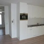 Huur 1 slaapkamer appartement van 53 m² in Eindhoven