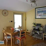 Rent 2 bedroom apartment of 45 m² in Turin