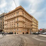 Rent 4 bedroom apartment of 117 m² in Prague