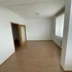 Rent 1 bedroom apartment of 53 m² in Prague