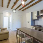 Rent 1 bedroom apartment of 50 m² in milan