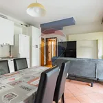 Rent 2 bedroom apartment of 55 m² in Busto Arsizio