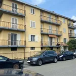 Rent 3 bedroom apartment of 90 m² in Pavia