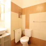 Rent 1 bedroom apartment in Písek