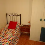 Rent a room in cordoba