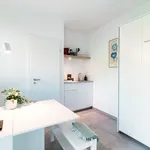 Miete 1 Schlafzimmer wohnung von 18 m² in Origlio