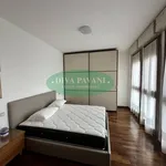 2-room flat via Bruxelles, Centro, San Donato Milanese