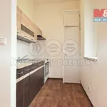 Rent 1 bedroom apartment of 30 m² in Dlouhoňovice