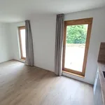 Appartement de 29 m² avec 1 chambre(s) en location à Nancy