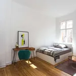 Rent 2 bedroom apartment of 50 m² in berlin