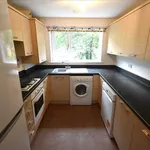 Rent 4 bedroom flat in South East England