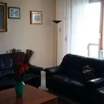 Rent 1 bedroom apartment of 140 m² in Turin