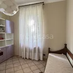 Rent 3 bedroom apartment of 100 m² in Torino