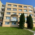 Pronajměte si 1 ložnic/e byt o rozloze 44 m² v Suchdol nad Lužnicí