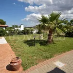 Rent 5 bedroom house of 100 m² in Carovigno