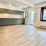 Rent 3 bedroom house in Uccle - Ukkel