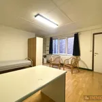 Rent 1 bedroom apartment in Gent