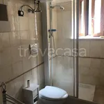 Rent 1 bedroom apartment of 30 m² in Albano Laziale