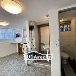 Rent 1 bedroom apartment of 17 m² in Zlín