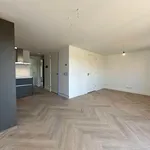 Huur 2 slaapkamer appartement van 55 m² in Eindhoven