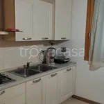 Rent 5 bedroom apartment of 80 m² in Adria