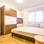 Rent 3 bedroom apartment of 120 m² in Zagreb