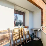 Rent 2 bedroom apartment of 56 m² in Hamburg