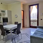 Rent 3 bedroom apartment of 83 m² in Cremona