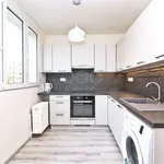 Rent 2 bedroom apartment of 40 m² in Kolín