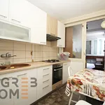 Rent 2 bedroom apartment of 53 m² in City of Zagreb