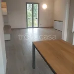 Affitto 3 camera appartamento di 119 m² in Borgomanero