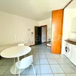 Rent 1 bedroom apartment of 42 m² in Lodi