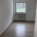 Rent 4 bedroom apartment of 75 m² in Siegen