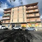 Rent 2 bedroom apartment of 75 m² in Catanzaro