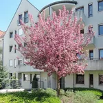 Rent 3 bedroom apartment of 67 m² in Fürth