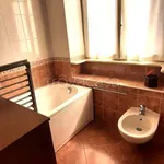 Rent 3 bedroom apartment of 125 m² in Novara