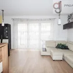 Rent 2 bedroom apartment of 50 m² in Łódź