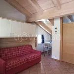 Rent 1 bedroom apartment of 20 m² in Ville di Fiemme